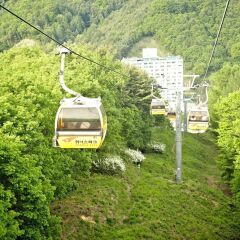 Отель Phoenix Pyeongchang Hotel Южная Корея, Пхёнчан - отзывы, цены и фото номеров - забронировать отель Phoenix Pyeongchang Hotel онлайн фото 10
