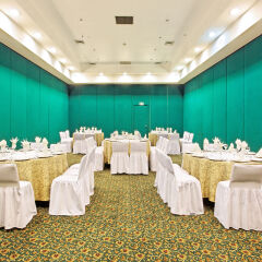 Отель Holiday Inn Ciudad De Mexico Perinorte Тлальнепантла-де-Бас помещение для мероприятий