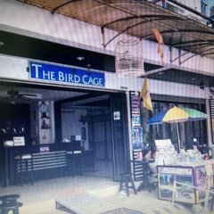 The Bird Cage Patong Guesthouse in Kathu, Thailand from 36$, photos, reviews - zenhotels.com meals photo 2
