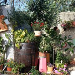Отель Garden Fiorella Италия, Чинизи - отзывы, цены и фото номеров - забронировать отель Garden Fiorella онлайн помещение для мероприятий