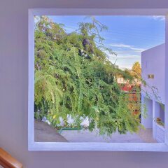 Отель Palo Verde Hotel Мексика, Кабо-Сан-Лукас - отзывы, цены и фото номеров - забронировать отель Palo Verde Hotel онлайн фото 15