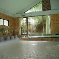 Yamanakakohanso Hotel Seikei Яманакако с домашними животными