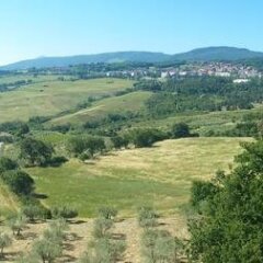 Hotel Firenze Кьянчиано Терме фото 3