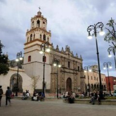 Отель Casa Aldama Мексика, Мехико - отзывы, цены и фото номеров - забронировать отель Casa Aldama онлайн фото 3