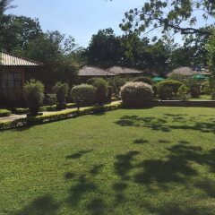 Отель Flower Garden Lake resort детские мероприятия фото 2