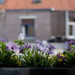 Отель Holidayhome Bruges @ Home питание