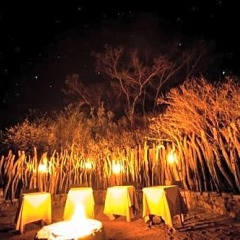 Отель Camp Figtree фото 10