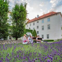 Отель Mandarin Oriental Prague Прага парковка
