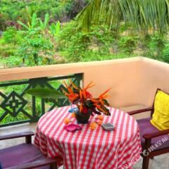 Отель Shangri-Lanka Villa Шри-Ланка, Бентота - отзывы, цены и фото номеров - забронировать отель Shangri-Lanka Villa онлайн фото 5