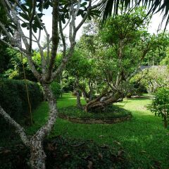 Отель Mae Nai Gardens фото 12