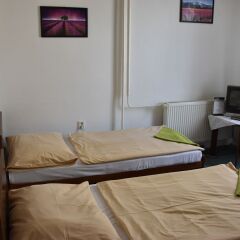 Hotel Alexander комната для гостей фото 5