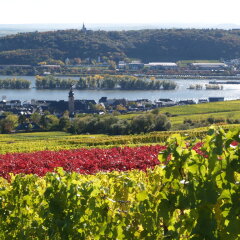 Central Hotel Ringhotel Rüdesheim фото 2
