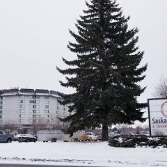 Отель Saskatoon Inn спортивное сооружение