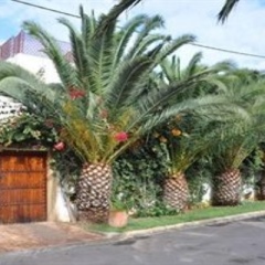 Отель Riad Alhambra парковка