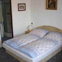 Отель Pension Villa Hany комната для гостей фото 5