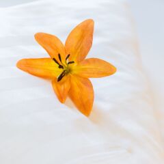 Отель Vienna Apartments Karlsplatz Австрия, Вена - отзывы, цены и фото номеров - забронировать отель Vienna Apartments Karlsplatz онлайн питание