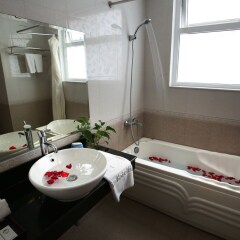 Отель Cherry 1 Hotel Вьетнам, Ханой - отзывы, цены и фото номеров - забронировать отель Cherry 1 Hotel онлайн ванная
