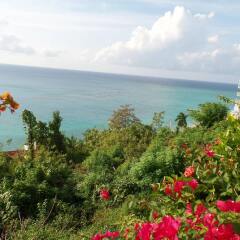 Отель Skymiles Beach Suite At Montego Bay Club Resort Ямайка, Монтего-Бей - отзывы, цены и фото номеров - забронировать отель Skymiles Beach Suite At Montego Bay Club Resort онлайн пляж