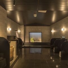 HOTEL ROUTE-INN Grand TOKYO ASAKUSABASHI бассейн