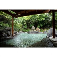 Отель Shikinosato HANAMURA Япония, Минамиогуни - отзывы, цены и фото номеров - забронировать отель Shikinosato HANAMURA онлайн бассейн