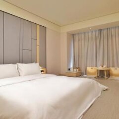 Отель JI Hotel Shanghai Jinqiao Китай, Шанхай - отзывы, цены и фото номеров - забронировать отель JI Hotel Shanghai Jinqiao онлайн комната для гостей фото 5