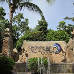 Resorts World Sentosa - Hard Rock Hotel Сингапур фото 2