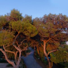 Отель Camping Al Bosco Италия, Градо - отзывы, цены и фото номеров - забронировать отель Camping Al Bosco онлайн приотельная территория