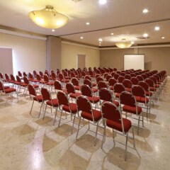 Отель Holiday Inn Hotel & Suites Centro Historico Мексика, Гвадалахара - отзывы, цены и фото номеров - забронировать отель Holiday Inn Hotel & Suites Centro Historico онлайн фото 15