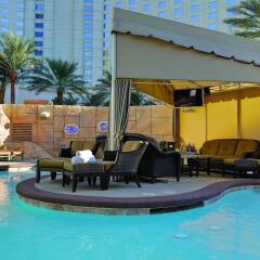 Park MGM Las Vegas Hotel с домашними животными