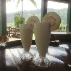 Stoney Creek Resort - Hostel in Viti Levu, Fiji from 42$, photos, reviews - zenhotels.com