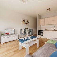 Отель P&O Apartments Solec Польша, Варшава - отзывы, цены и фото номеров - забронировать отель P&O Apartments Solec онлайн фото 3