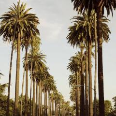 Отель London West Hollywood at Beverly Hills фото 4