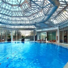Hilton Birmingham Metropole Hotel с домашними животными