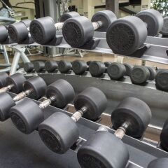 Отель Alegranza Luxury Resort Мексика, Сан-Хосе-дель-Кабо - отзывы, цены и фото номеров - забронировать отель Alegranza Luxury Resort онлайн фитнесс-зал