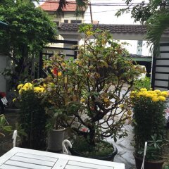 Отель Little House Homestay фото 2