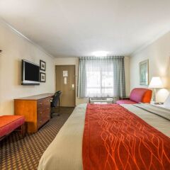 Отель Comfort Inn Near Pasadena Civic Auditorium США, Пасадена - отзывы, цены и фото номеров - забронировать отель Comfort Inn Near Pasadena Civic Auditorium онлайн комната для гостей фото 2