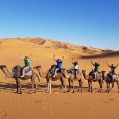 Отель Desert Camel Camp Марокко, Мерзуга - отзывы, цены и фото номеров - забронировать отель Desert Camel Camp онлайн фитнесс-зал фото 2