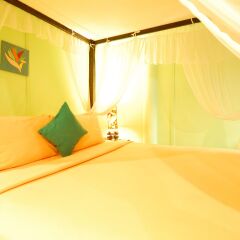 Отель Lareena Resort Koh Larn Pattaya Таиланд, Ко-Лан - отзывы, цены и фото номеров - забронировать отель Lareena Resort Koh Larn Pattaya онлайн комната для гостей фото 2
