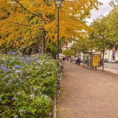 Отель My Suite Lisbon Португалия, Лиссабон - отзывы, цены и фото номеров - забронировать отель My Suite Lisbon онлайн фото 18