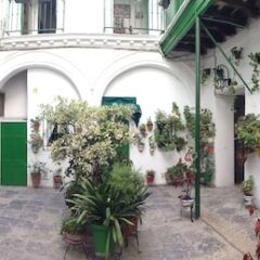 Отель Apartamentos Jerez Испания, Херес-де-ла-Фронтера - отзывы, цены и фото номеров - забронировать отель Apartamentos Jerez онлайн фото 13