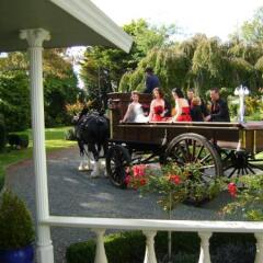 Отель Somersal Bed & Breakfast