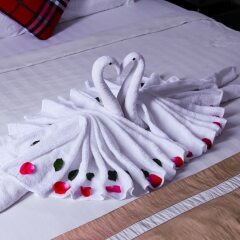 Homeland Hotel гостиничный бар