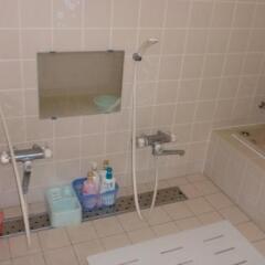 Hoshi Ryokan in Iwami, Japan from 77$, photos, reviews - zenhotels.com bathroom photo 3