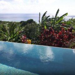 Kaye Mango in Choiseul, St. Lucia from 377$, photos, reviews - zenhotels.com pool
