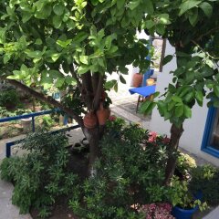 Fındık Pansıyon Турция, Измир - отзывы, цены и фото номеров - забронировать отель Fındık Pansıyon онлайн фото 7