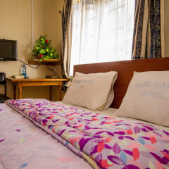 Meru Safari Hotel in Meru, Kenya from 25$, photos, reviews - zenhotels.com room amenities photo 2