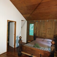 Rainforest Eco Lodge in Viti Levu, Fiji from 34$, photos, reviews - zenhotels.com guestroom photo 4