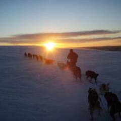 Отель Engholm Husky Design Lodge пляж