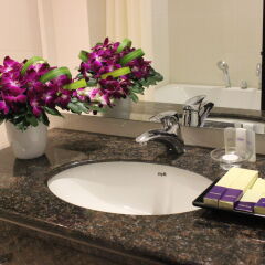 Lavender Hotel ванная фото 2