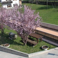 Hotel Edelweiss Форни-ди-Сопра фото 9